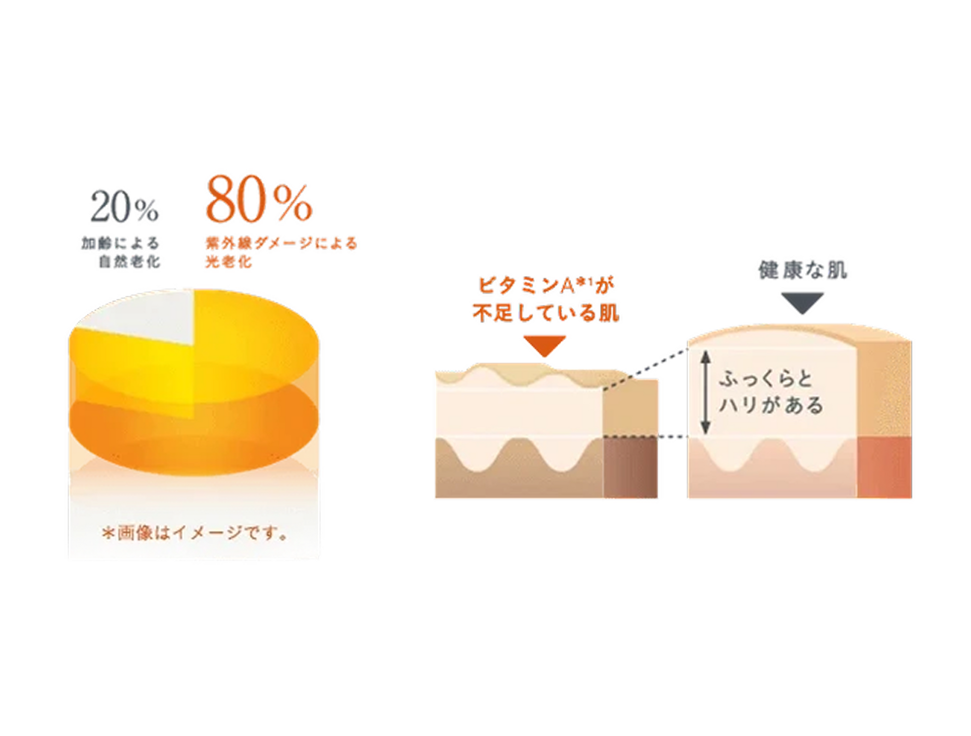 BAOクリニック オンラインショップ