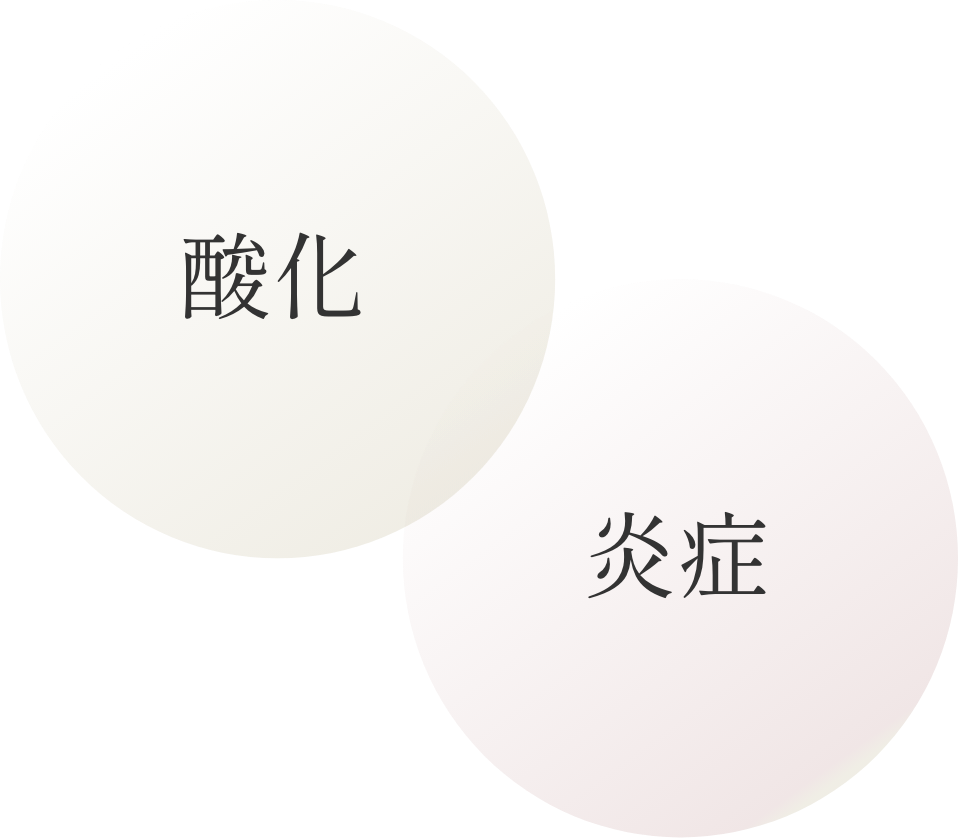 BAOクリニック オンラインショップ