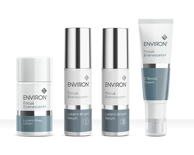 <strong>Focus Evanescent＋ Series</strong>